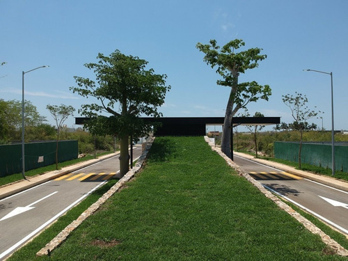 Imagen 19 de 22 de Venta De Lote En Privada Residencial Endora En Conkal