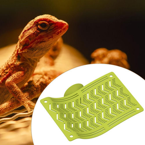 Hamaca De Reptiles, Hamaca De Dragón, Tumbona De Verde