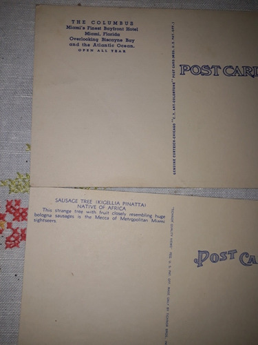 Postales Antiguas Miami Lote 17 Unidades