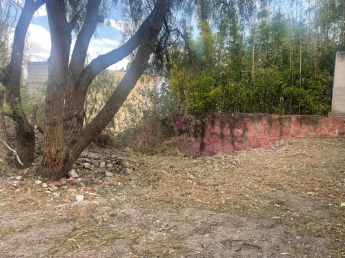 Imagen 8 de 9 de Terreno En Venta En Zacatecas