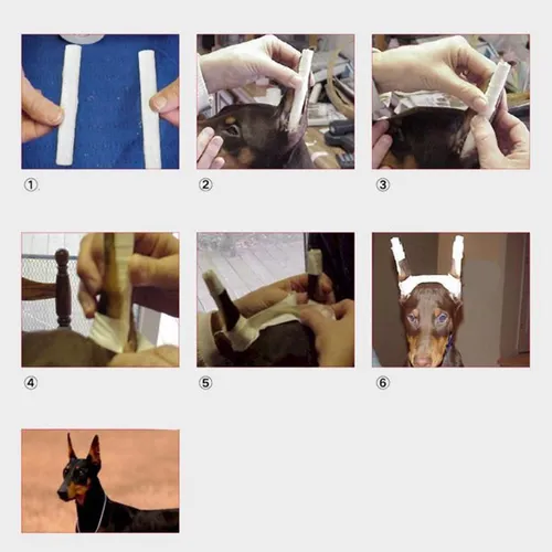 Adhesivo Para Orejas De Perro Con Soporte Para Orejas De Per