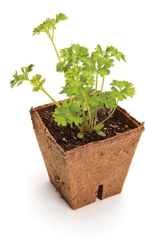 Maceta Biodegradable Jiffy Pot  5 X 5,5 X 3,4  (10 Unidades)