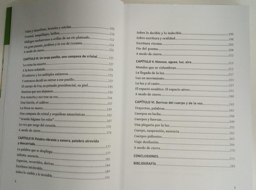 Nestor Perlongher - Escritura Cuerpo Sensualidad - R. Ybañes (Usado)