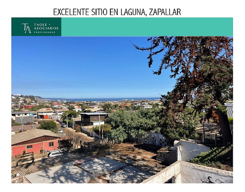 Excelente Sitio En Laguna, Zapallar