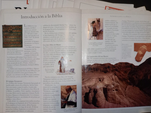 Biblia Ilustrada Adaptada Especialmente Para Niños Billiken