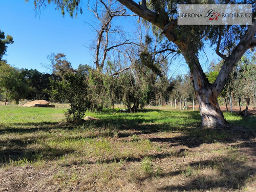 Parcela En Venta En Quintero