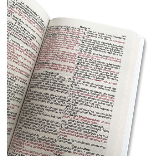 Biblia Sagrada Leão Medieval - Capa Dura - Com Harpa