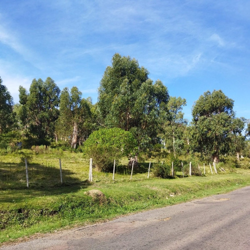 Chacra A La Venta En Piriapolis 