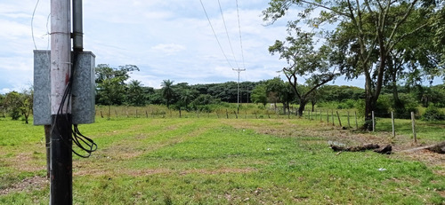Imagen 2 de 17 de Finca En Cojedes En Venta, Berenice Martinez 04244041893 Cl-bm491