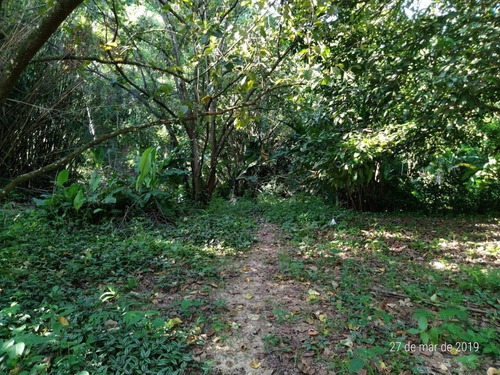 Terreno Para Venda, 622.5 M2, Guaratiba - Rio De Janeiro - 734