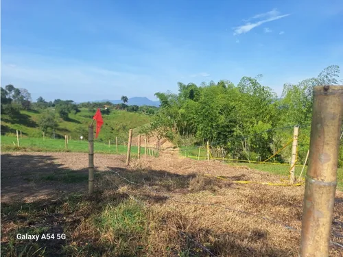 Venta Lotes En Quimbaya -quindío Colombia Cod: 7555717