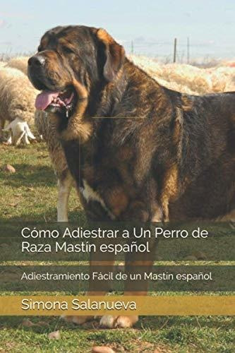 Cómo Adiestrar A Un Perro De Raza Mastín Español: Adiestrami