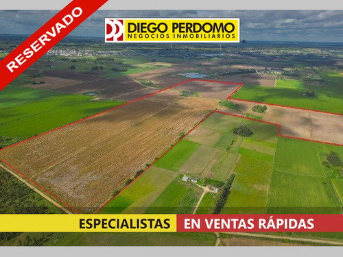 Campo De 65,5 Has En Venta, Próximo A Libertad