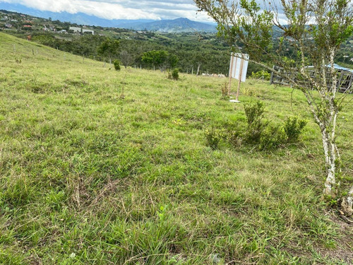 Imagen 8 de 14 de Lote De Terreno