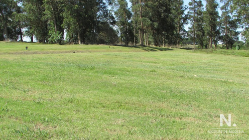 Terreno En Venta En Las Garzas.