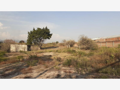 Imagen 5 de 11 de Terreno Comercial En Venta San Carlos