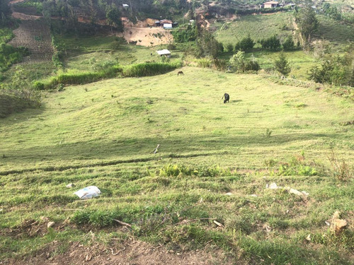 Hermosa Finca En Venta En La Vereda Las Cruces San Vicente De Ferrer 