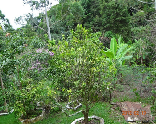 Chacara - Ch00168 - 68733100