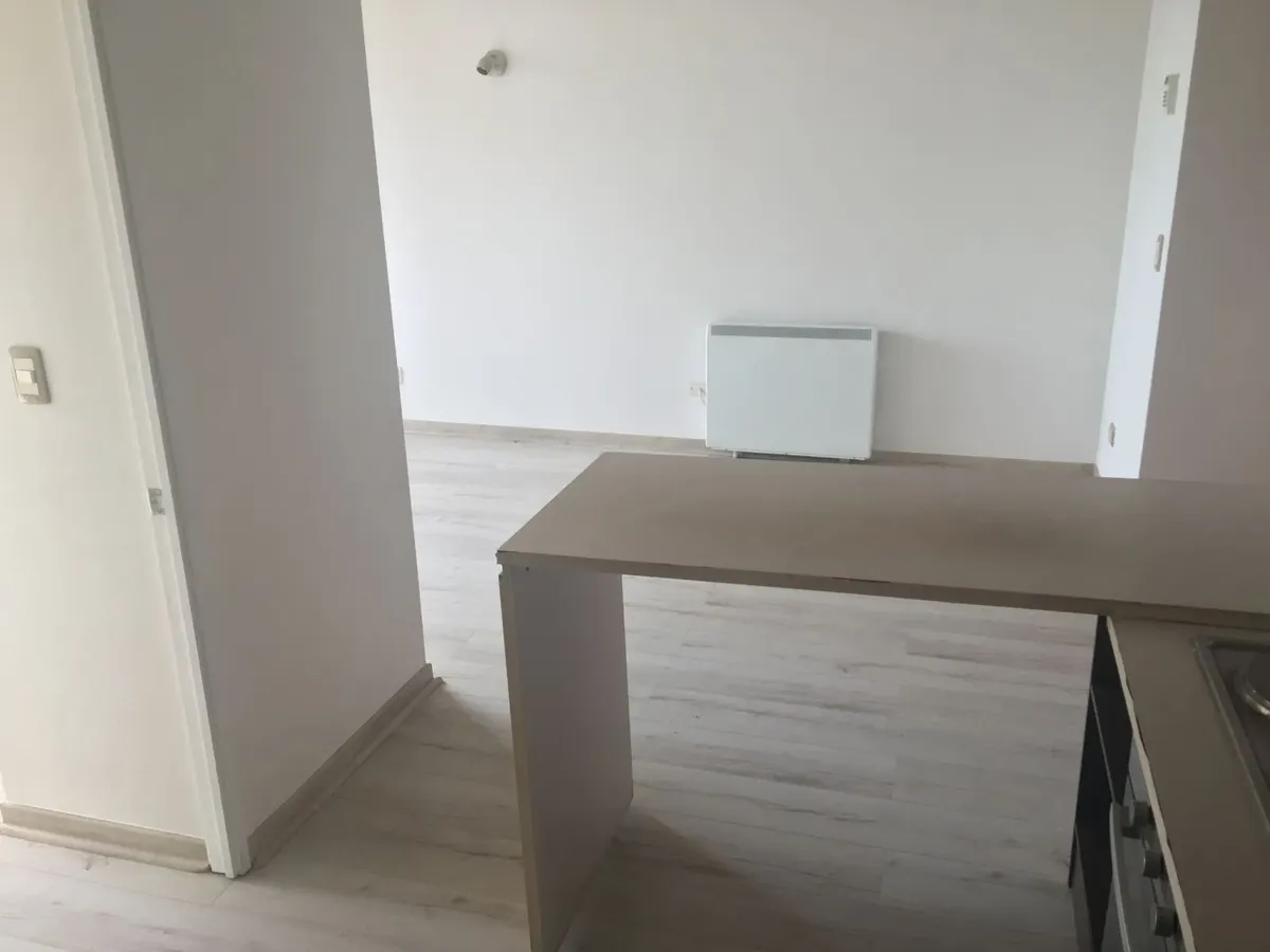 Imagen 5 de 24 de Excelente!! Departamento De 2d1b En Calle Portugal / Santa I