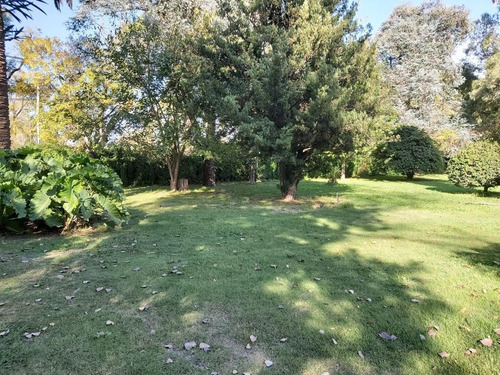 Imagen 15 de 21 de Se Vende Casa En Roldan 2500 M2 Terreno.