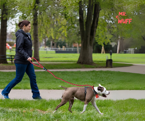 Correa Para Perro Resistente Ajustable Reflejante Mr Wuff Color Rojo