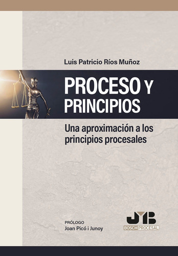 Proceso Y Principios, De Luis Patricio Ríos Muñoz
