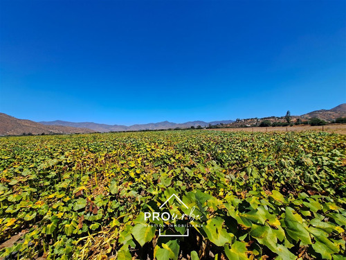 Gran Hacienda Curacavi 108 Hectáreas Parcelables Con Agua