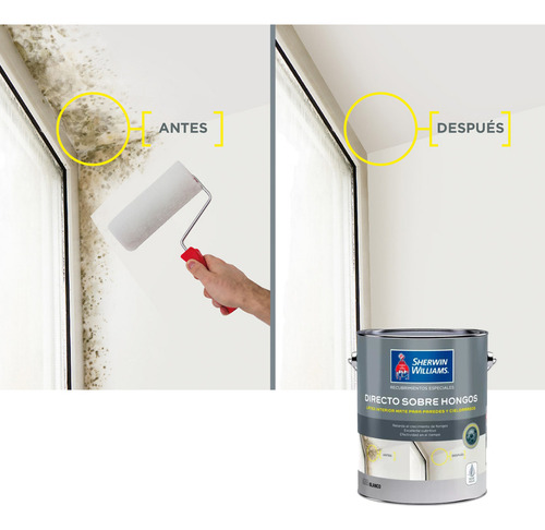 Latex Interior Directo Sobre Hongo Sherwin 1 Lt Rex