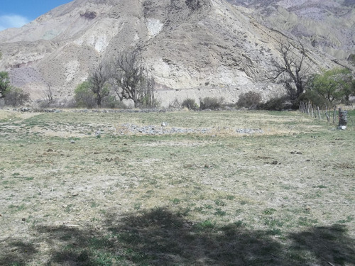 Purmamarca Terrenos Y Fincas