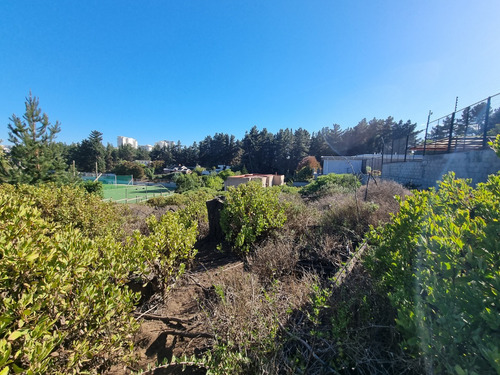 Excelente Terreno En Los Pinos