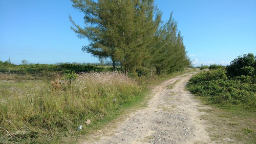 Venta Lotes 400 M² Playa Sur Tamiahua Veracruz