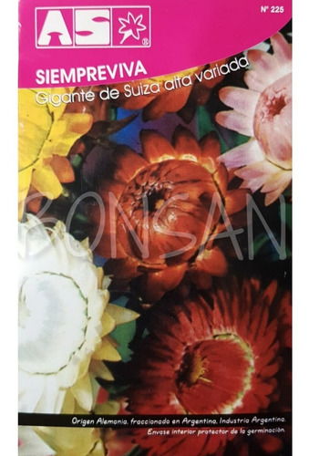 Sobre Semillas Flores As Siempreviva Gigante De Suiza Alta 