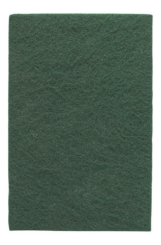 Imagen 2 de 5 de Paño Abrasivo Bosch Expert For Finish (verde)