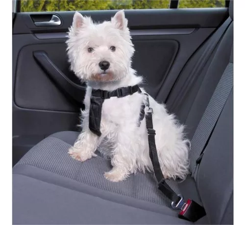 Cinturones, Arnés y Fundas de Perro para el Coche