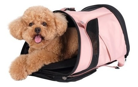 Imagen 3 de 9 de Mochila Bolso Ibiyaya Ultralight Backpack Paseos Perro Gato