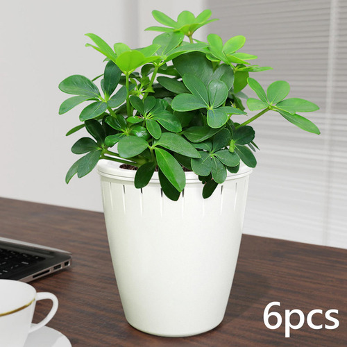 6 Macetas De Riego Automático Para Plantas De Flores,