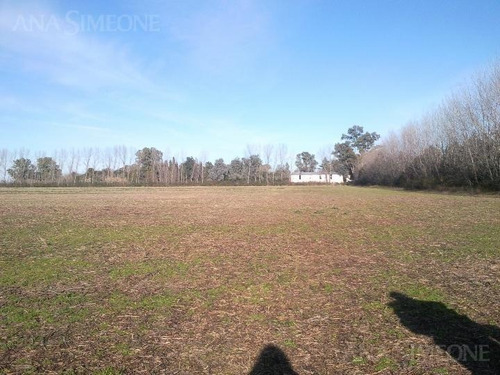 Imagen 2 de 23 de Predio Ideal Para Centro Logístico De 125.000 M2 Con 3.000 M2 Cubiertos