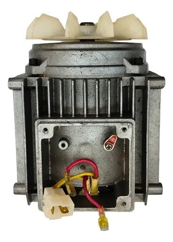 Motor Elétrico Lavadora Wap Enduro Triplex (220v) 20011029