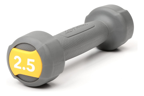 Life Fitness Dumbbell Studio Individual Gris Uretano 2.5lb