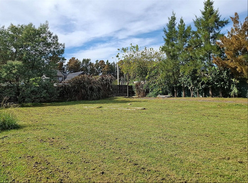 Terreno Pròximo Aeropuerto, Lugar Estrategico