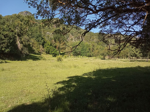 Parcela En Venta En Futrono - Llifen - 1.05 Hectáreas C/rio