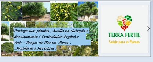 Terra Vegetal Especial Para Apartamentos Não Tem Estercos