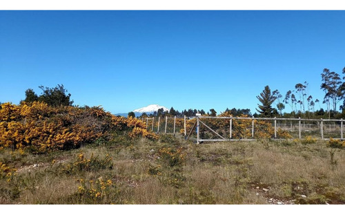 Alerce Parcela 5000 M2 Conlinda Con Estero Rio Negro