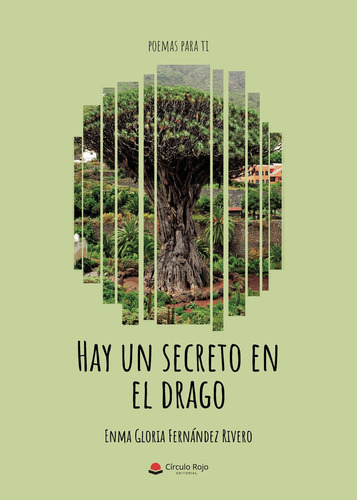 Hay Un Secreto En El Drago: No aplica, de Fernández Rivero , Enma Gloria.. Serie 1, vol. 1. Grupo Editorial Círculo Rojo SL, tapa pasta blanda, edición 1 en español, 2022