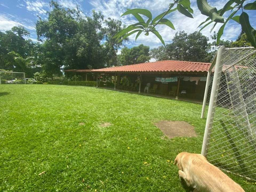Imagen 3 de 25 de Finca En Venta Sopetran!!