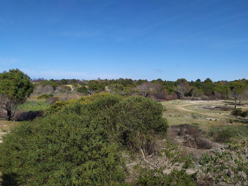 Imagen 16 de 19 de Solar - En Venta En La Viuda Punta Del Diablo A 150m De La Playa - Mza 253