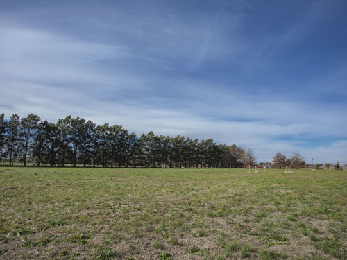 Imagen 9 de 12 de Chacra 1 Ha. - Las Juntas - San Antonio De Areco