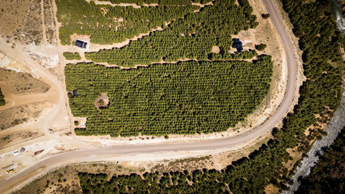 Venta Lote Villa Pehuenia