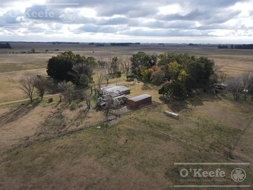 Imagen 17 de 26 de 100 Has En Punta Indio - Excelente Acceso - Ideal Haras!