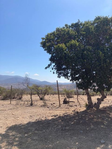 Imagen 16 de 16 de Sitio Condominio Foresta De Zapallar/ruta 5 Norte